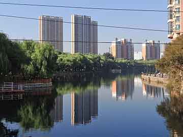澳门开奖记录开奖结果2024：博彩市场公平性的年度见证