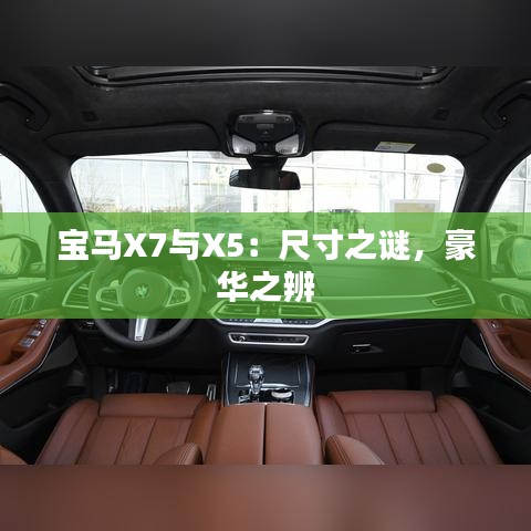 新闻资讯 第237页