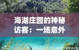 海湖庄园的神秘访客：一场意外的邂逅