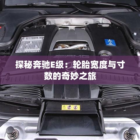 关于我们 第245页