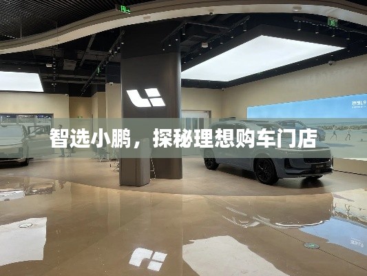 智选小鹏，探秘理想购车门店