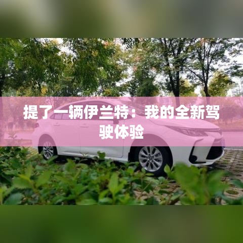 提了一辆伊兰特：我的全新驾驶体验