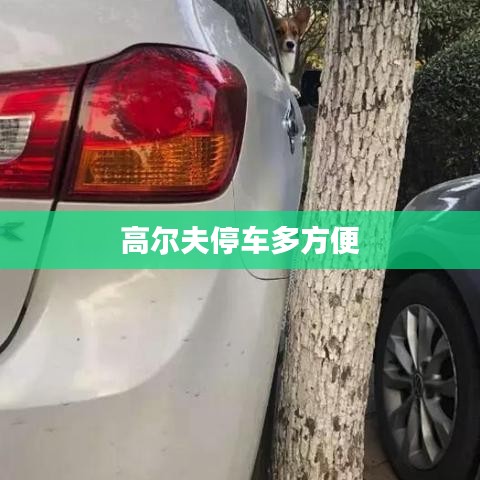 高尔夫停车多方便