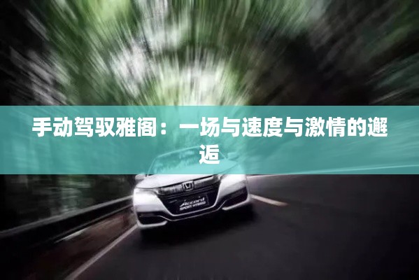手动驾驭雅阁：一场与速度与激情的邂逅