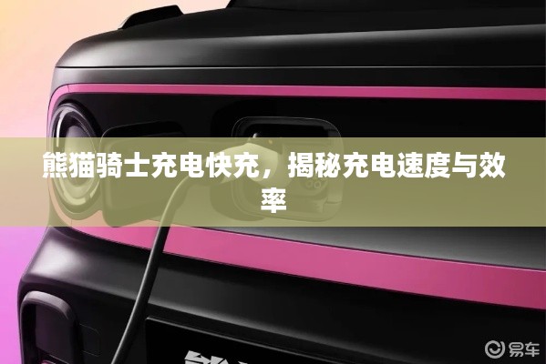 应用领域 第236页