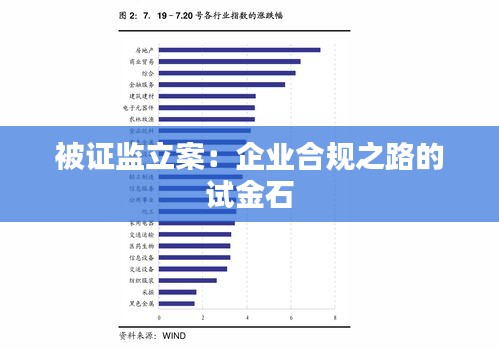 被证监立案：企业合规之路的试金石