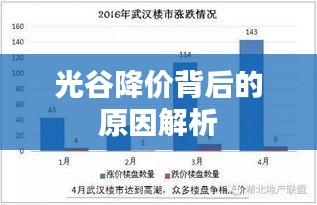 光谷降价背后的原因解析