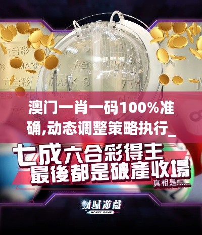 澳门一肖一码100%准确,动态调整策略执行_创新版4.913