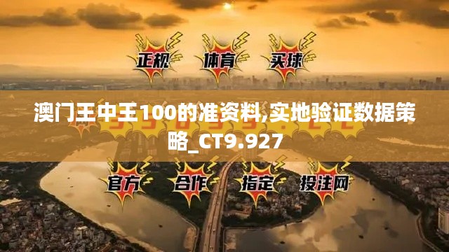 澳门王中王100的准资料,实地验证数据策略_CT9.927
