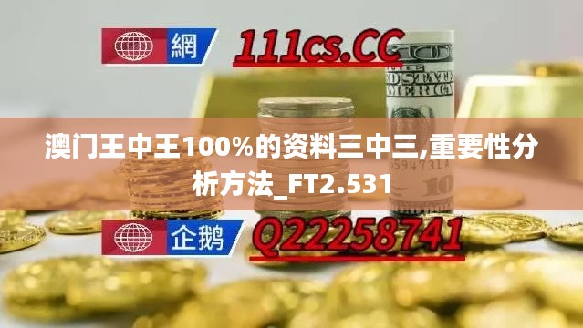 澳门王中王100%的资料三中三,重要性分析方法_FT2.531