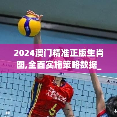 2024澳门精准正版生肖图,全面实施策略数据_尊贵款6.372