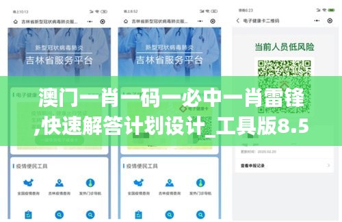 澳门一肖一码一必中一肖雷锋,快速解答计划设计_工具版8.563
