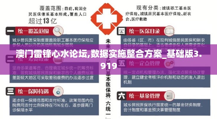 澳门雷锋心水论坛,数据实施整合方案_基础版3.919