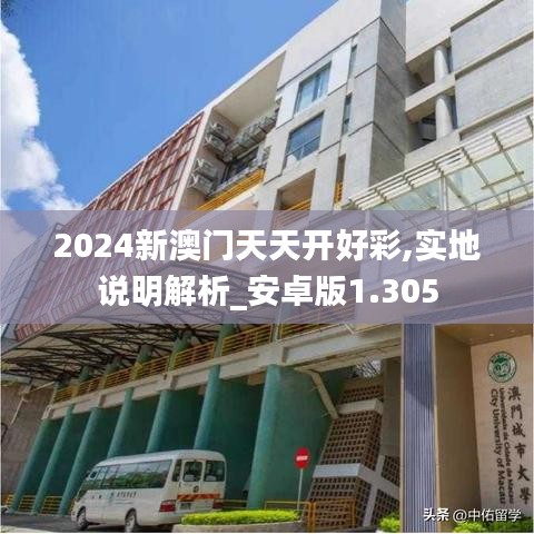 2024新澳门天天开好彩,实地说明解析_安卓版1.305