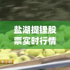 盐湖提锂股票实时行情：揭秘市场动态与投资机遇