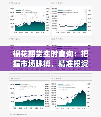 棉花期货实时查询：把握市场脉搏，精准投资决策