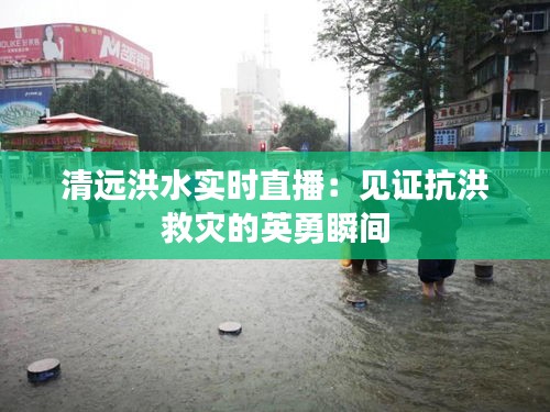 清远洪水实时直播：见证抗洪救灾的英勇瞬间