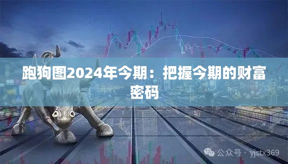 跑狗图2024年今期：把握今期的财富密码