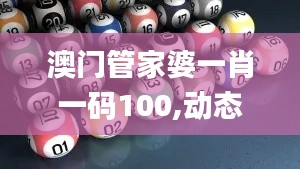 澳门管家婆一肖一码100,动态调整策略执行_挑战版3.799