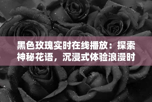 黑色玫瑰实时在线播放：探索神秘花语，沉浸式体验浪漫时光