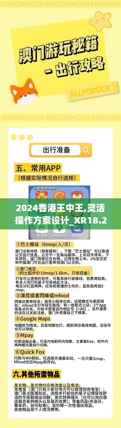 2024香港王中王,灵活操作方案设计_XR18.239