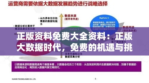 正版资料免费大全资料：正版大数据时代，免费的机遇与挑战
