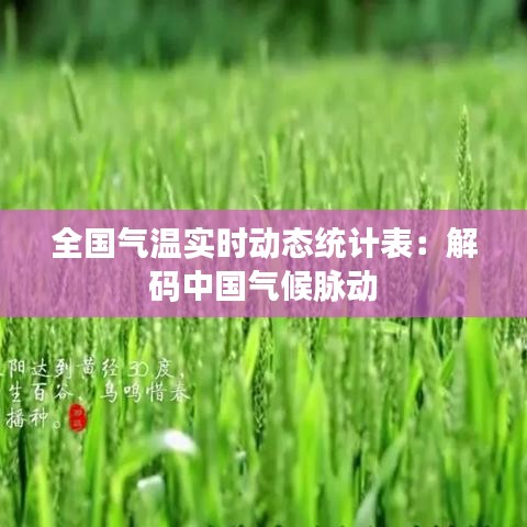 全国气温实时动态统计表：解码中国气候脉动