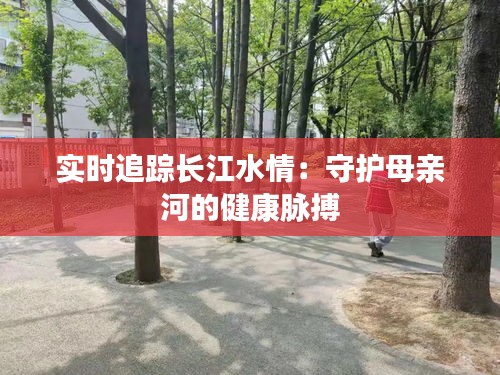 实时追踪长江水情：守护母亲河的健康脉搏
