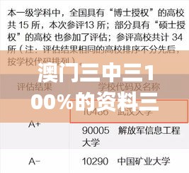 澳门三中三100%的资料三中三,安全性策略评估_领航款5.515
