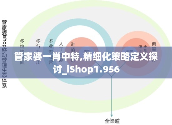 管家婆一肖中特,精细化策略定义探讨_iShop1.956