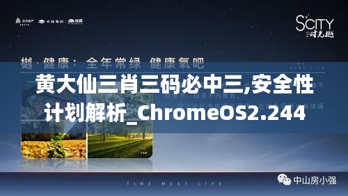 黄大仙三肖三码必中三,安全性计划解析_ChromeOS2.244