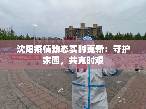 沈阳疫情动态实时更新：守护家园，共克时艰
