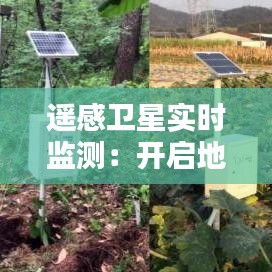 遥感卫星实时监测：开启地球观测新时代