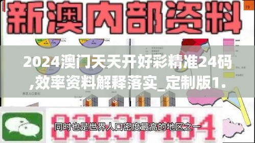 2024澳门天天开好彩精准24码,效率资料解释落实_定制版1.935