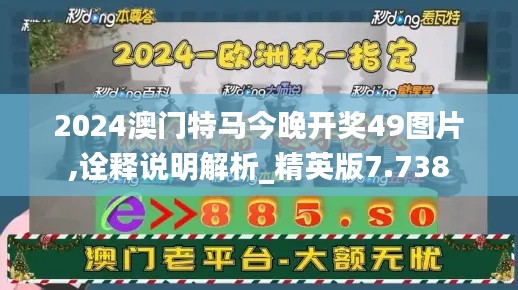 2024澳门特马今晚开奖49图片,诠释说明解析_精英版7.738