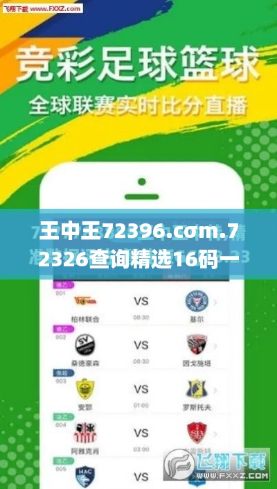王中王72396.cσm.72326查询精选16码一,前沿评估说明_9DM1.432