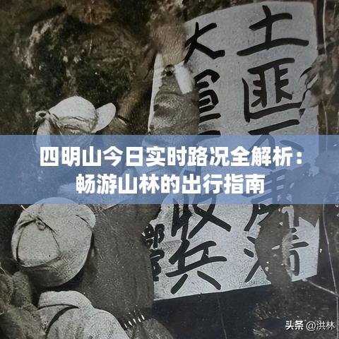 四明山今日实时路况全解析：畅游山林的出行指南