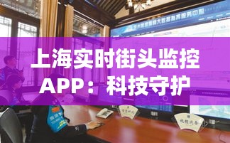 张皇铺饰 第3页