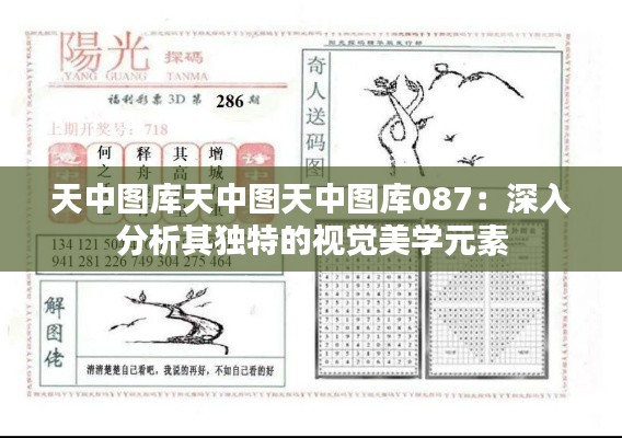 天中图库天中图天中图库087：深入分析其独特的视觉美学元素