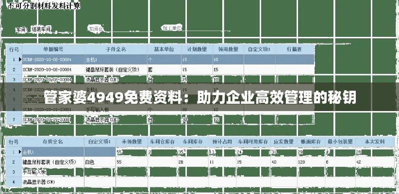 管家婆4949免费资料：助力企业高效管理的秘钥