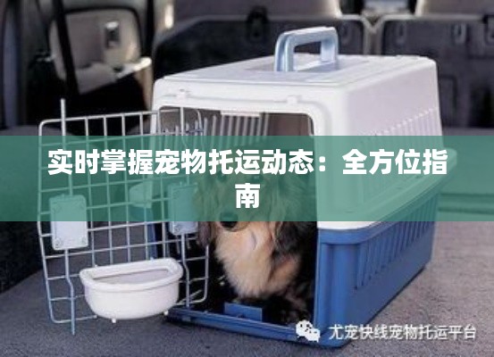 实时掌握宠物托运动态：全方位指南