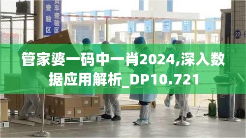 管家婆一码中一肖2024,深入数据应用解析_DP10.721