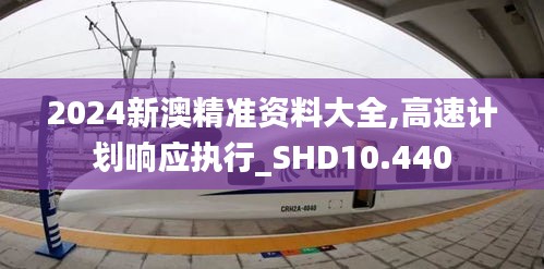 2024新澳精准资料大全,高速计划响应执行_SHD10.440