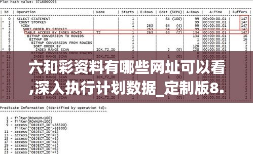 六和彩资料有哪些网址可以看,深入执行计划数据_定制版8.613