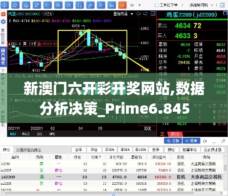 新澳门六开彩开奖网站,数据分析决策_Prime6.845