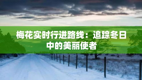梅花实时行进路线：追踪冬日中的美丽使者