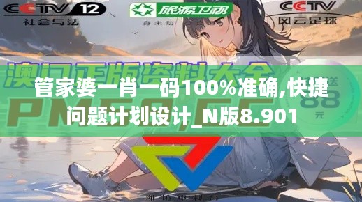 管家婆一肖一码100%准确,快捷问题计划设计_N版8.901