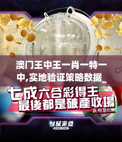 澳门王中王一肖一特一中,实地验证策略数据_精简版5.434