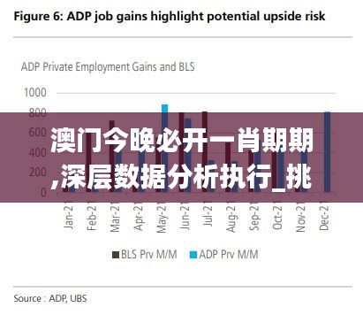 澳门今晚必开一肖期期,深层数据分析执行_挑战款11.433