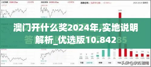 澳门开什么奖2024年,实地说明解析_优选版10.842